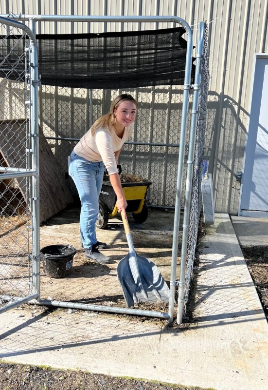 Air Force veteran Sophia Gibbons cleans an animal pen at Courageous Hearts in Lincoln.